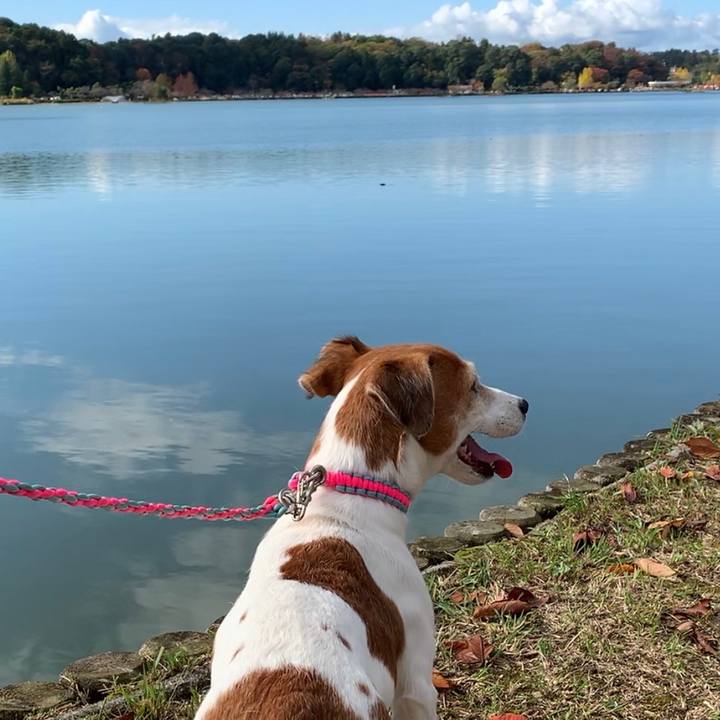 7d494a63 88ab 4b93 9a6e 2b472c7cd8ab 1541856173742