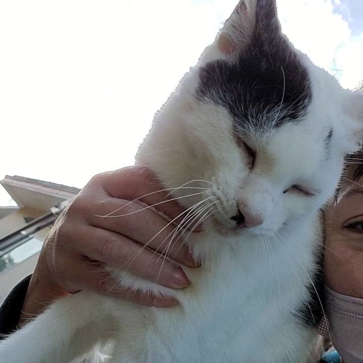 7d49a3eb 1a66 4598 bb27 025ddf600286 1717330093005