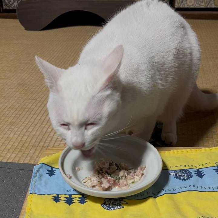 7d49cbfe 556d 4197 921d 4d0dfd64b20d 1766841902399