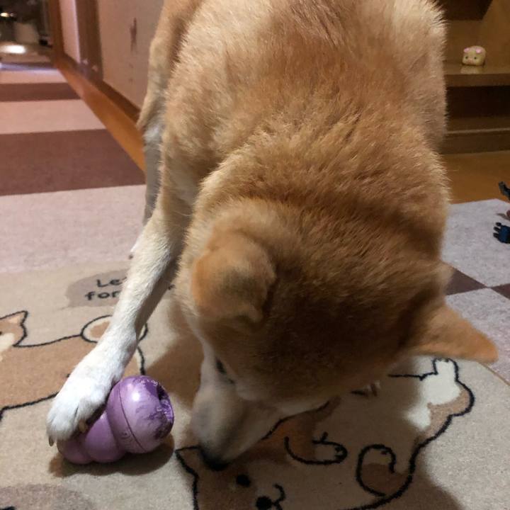 7d4a0f1f 3b1d 4bc4 89b4 a448a9f1d3ee 1600092424123