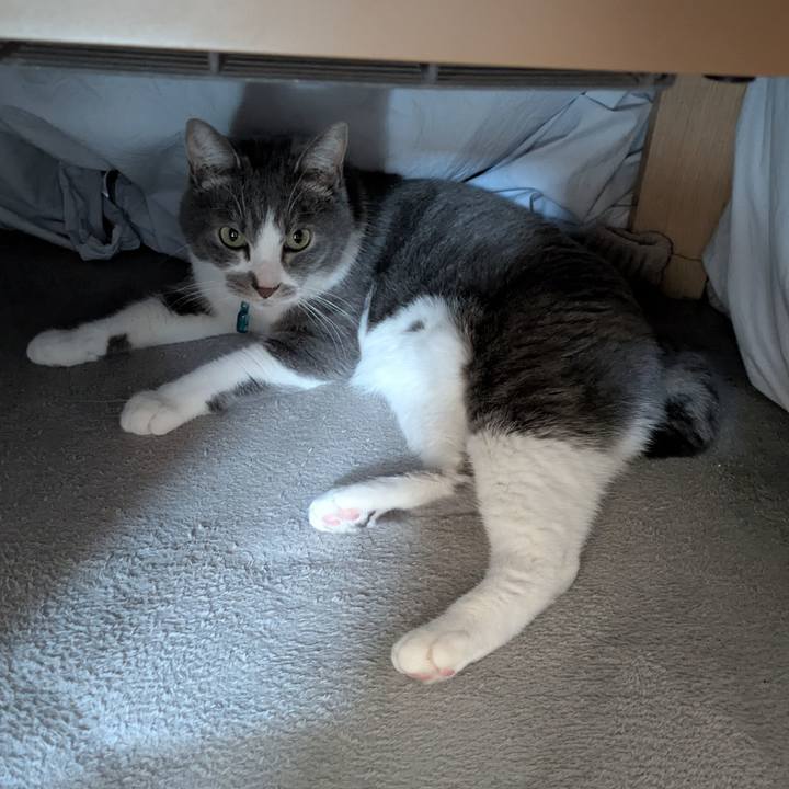 7d4a2131 f83a 4597 8e20 533879301cac 1768286560608