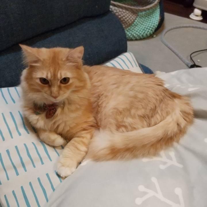 7d4a6aa0 d0a5 480e 9229 750ecf5dd606 1637067366768