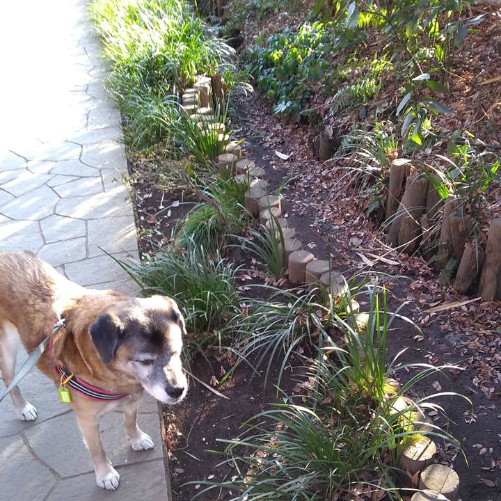 7d4a80b2 7b4e 4097 8ca2 e515567322df 1548719947021