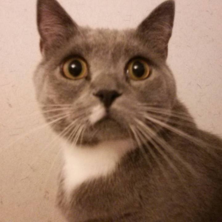 7d4ad197 28d6 45d3 8d7e 87646ef76b2a 1559394773731