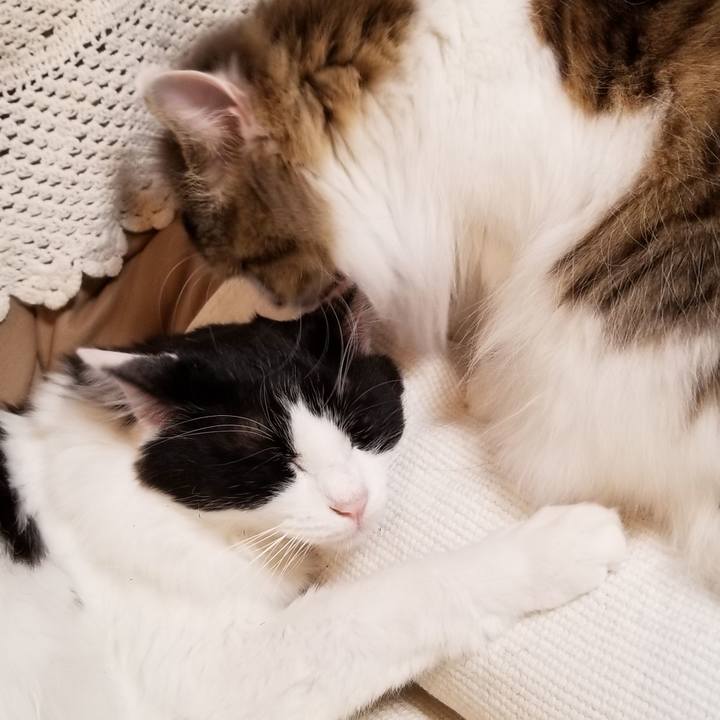 7d4ade1b 0d22 413e 8dea 9580996a3ef8 1581457811940