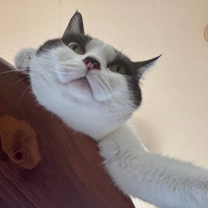 7d4b51b1 4641 4863 b5c7 94ec9451acd9 1756912941938