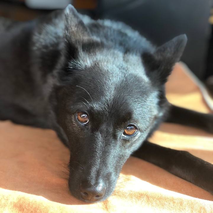 7d4b89f7 d384 4589 bb56 c693247db2ce 1568935353621