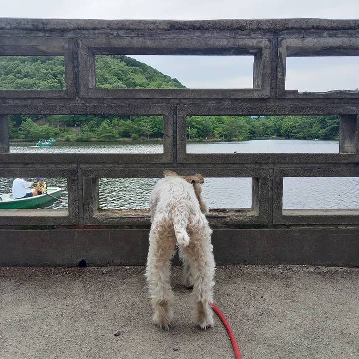 7d4b8a16 b83d 41ef 8c58 84e5e7602740 1624247353302