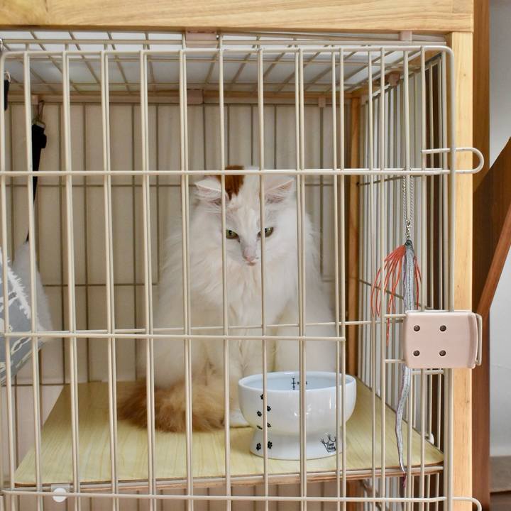 7d4b8b0d fa29 40c0 bac3 da1d7baec4bf 1769139337775