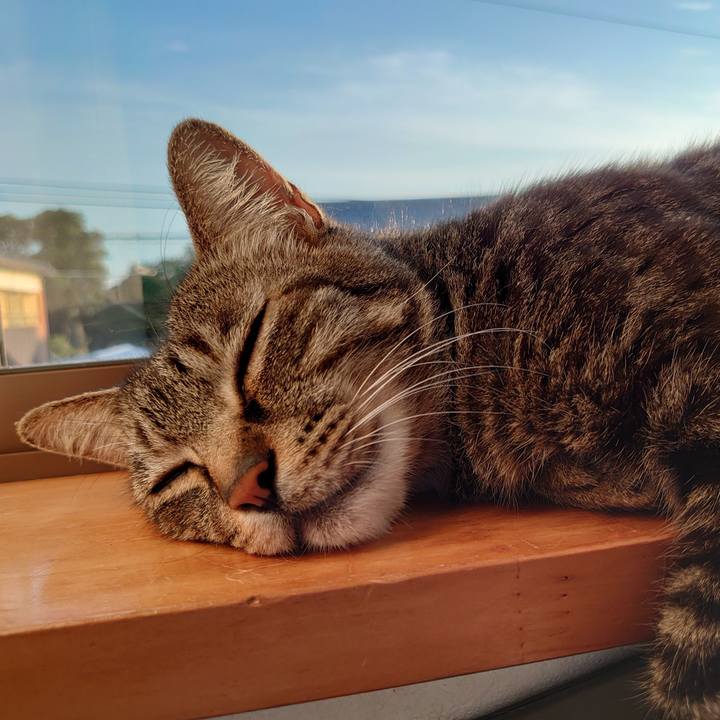 7d4bab99 b77a 4c9f a9fe 1413ef3816ff 1625086433648