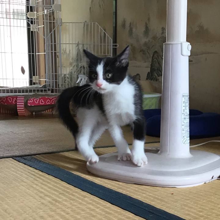 7d4bb779 0e6d 4182 9806 dd190362bec4 1624599335469