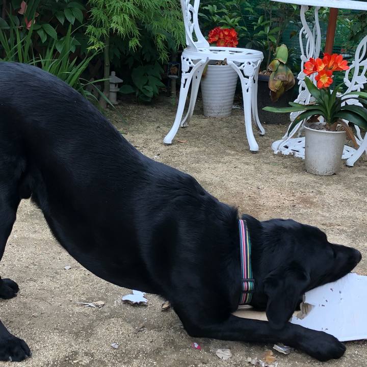 7d4bcd9d 83dd 47a0 bc01 3fc6f93d8ade 1686584218719