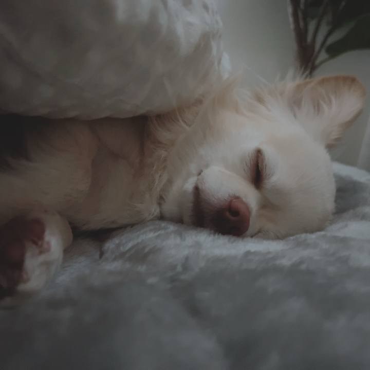 7d4bdcdc 9e1b 42a4 a109 3cb5d049bb3a 1708315587952