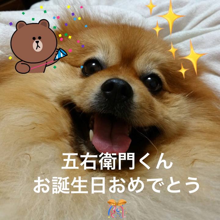 7d4bfe68 1456 468f af0c a69a34a02407 1569157578832