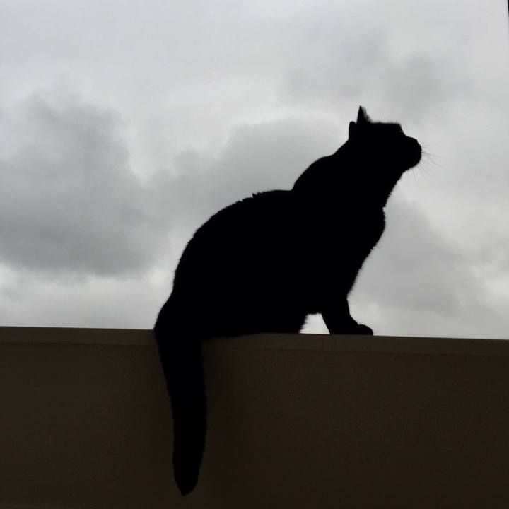 7d4c0b01 259e 402f a8c1 ccdcf30a76c8 1536479543672