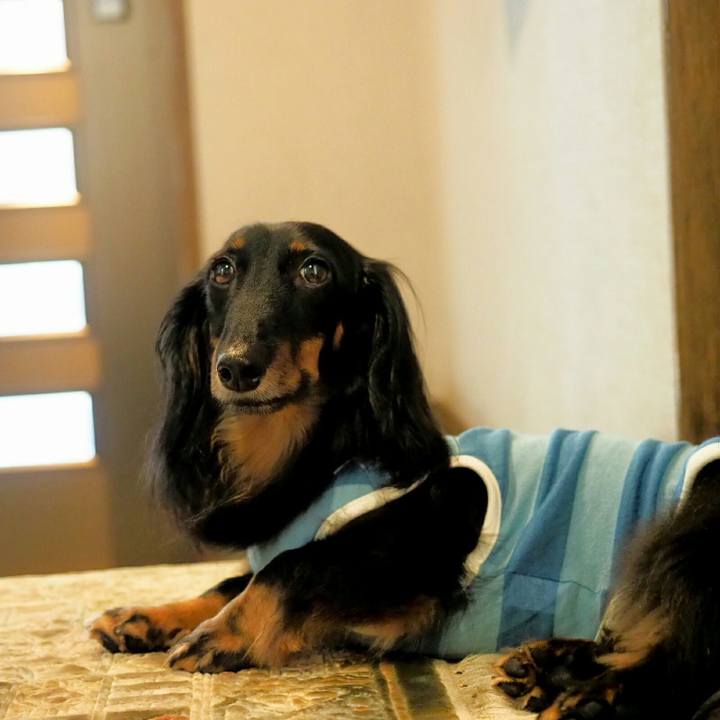 7d4c0cde 8d80 4421 b5bc 056d2b514e32 1532053959184