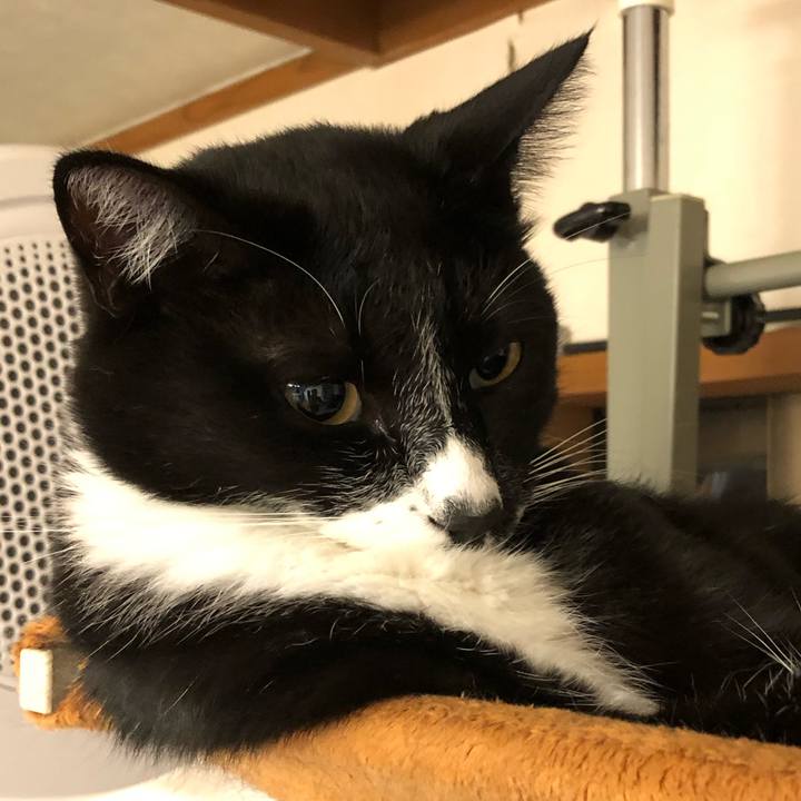 7d4c5718 2237 4ae2 abfc e3b9a2739e62 1600314555983