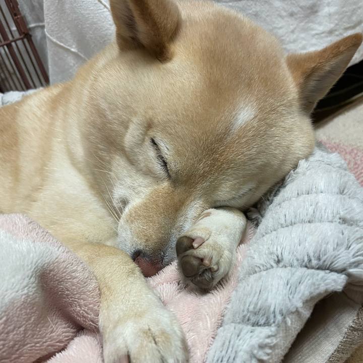 7d4c5fe7 b57e 4021 bfd9 b1fedb4e8948 1704029477216