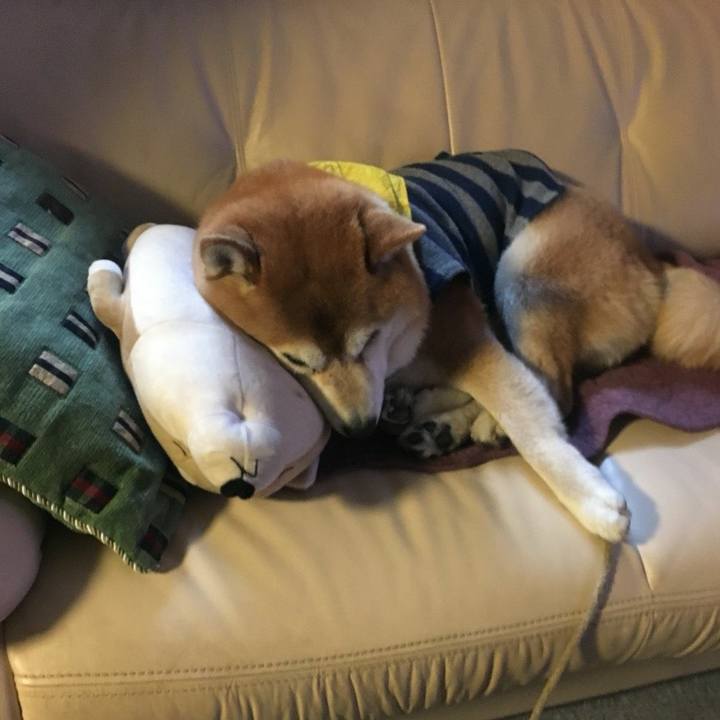 7d4c8e48 fcb0 4907 bb68 5c0edc9418b6 1521502364181