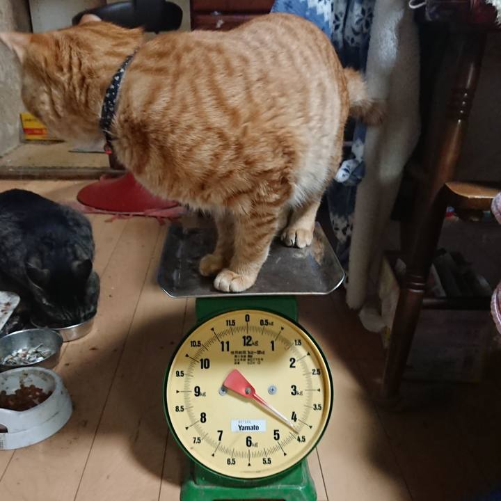 7d4c91f4 9550 45a3 86d6 1cc3c53eb075 1648375108195