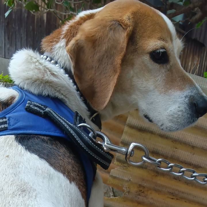 7d4ca1e4 2bc4 4ed6 a4cb 3502c41e744b 1745842141718