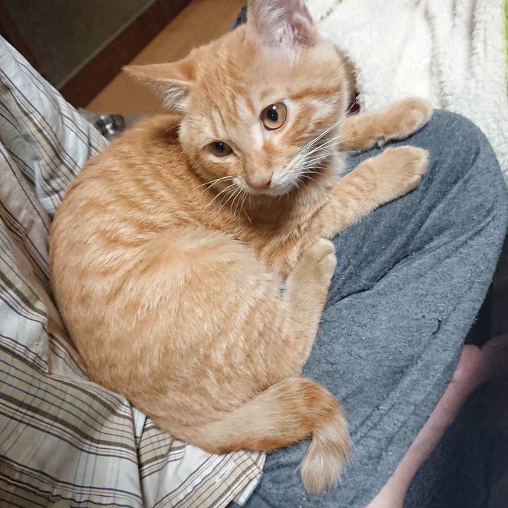 7d4cadab 09e1 430d 928d f9599f72cf8d 1634898371389