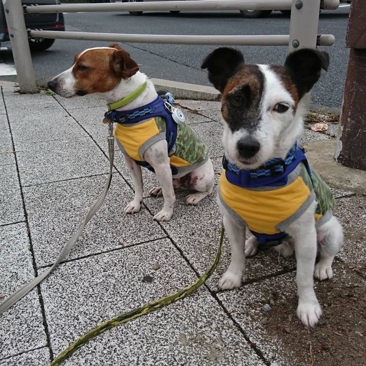 7d4cb18d d37e 4563 be5e 1aeb4c155670 1567635429509