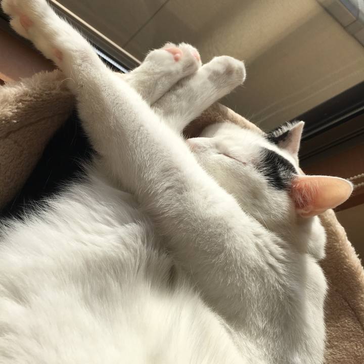 7d4ccaf1 b826 49e9 be2d a1919bf57a14 1515120245348