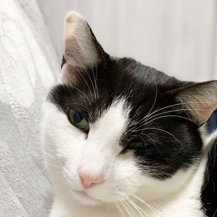 7d4cd636 6603 4854 86b7 80c38eff8ec8 1583803956045