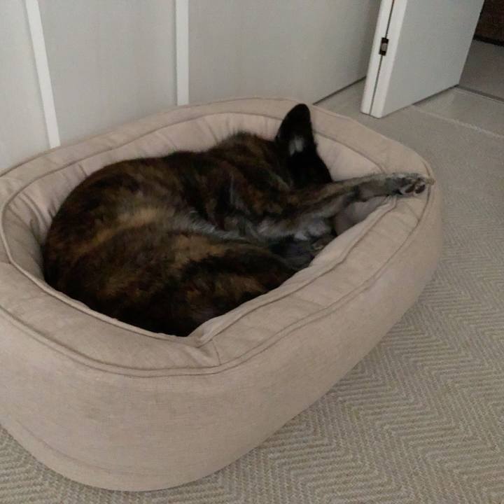 7d4ce2bd 01b5 4422 bb63 03564d338c6d 1712221307758