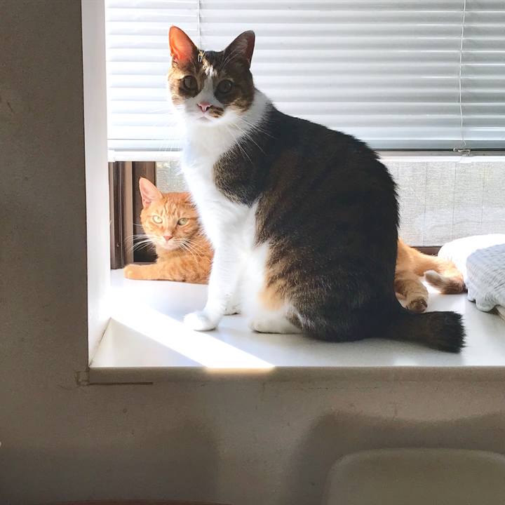 7d4cea54 827e 42ec a6af ff2cb9cc7f63 1537505878872