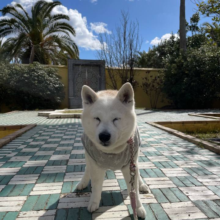 7d4cfc31 1c7c 413f a054 caaade5ecfd2 1709364513401