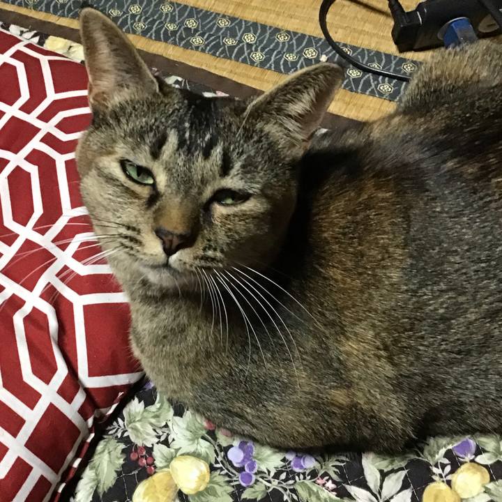 7d4d09ca 7988 46ff 8a03 cf5691ea65ff 1635071072119