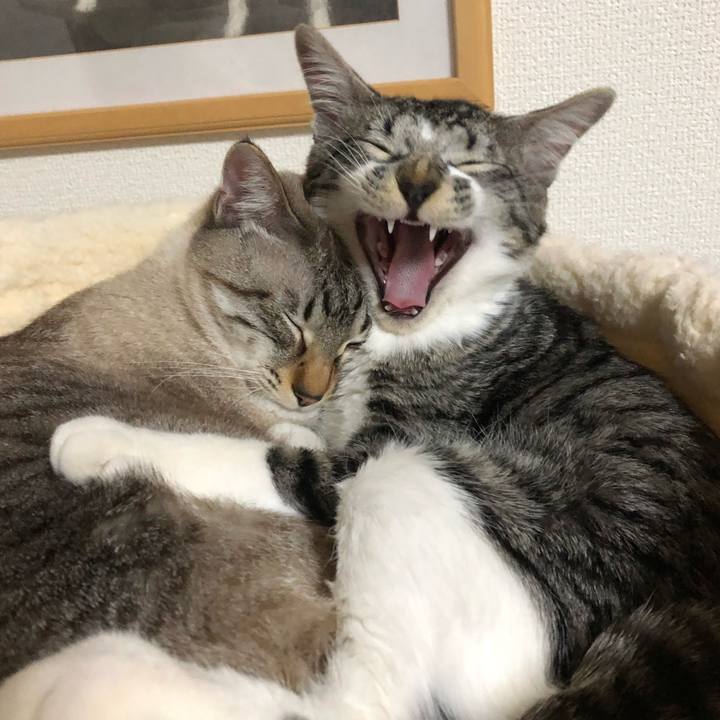 7d4d4aa8 e4aa 4db0 bad6 2de9e0a3d015 1644971323427