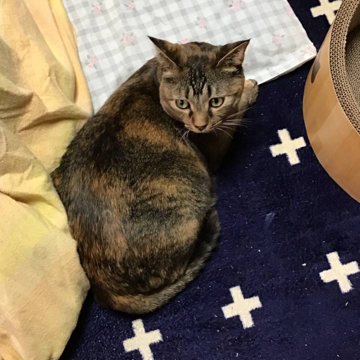 7d4d4fbf 6fc6 4344 8edb f69bfb07ab44 1735859823276