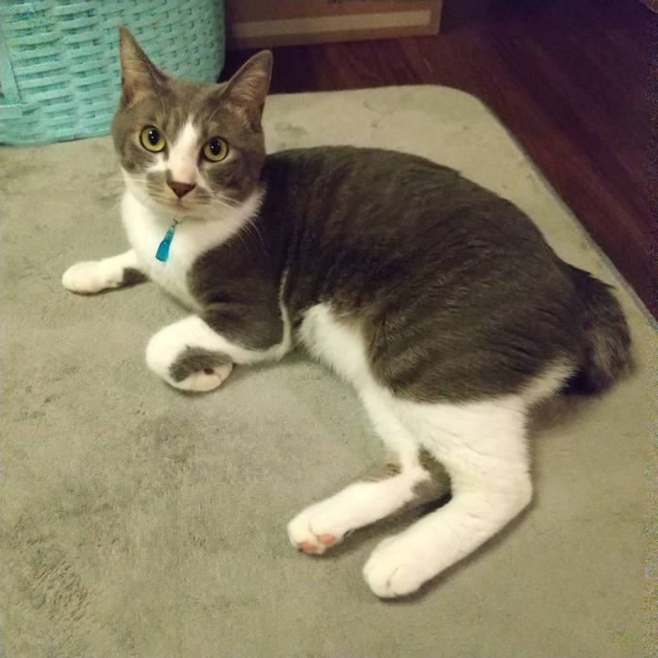 7d4d63a1 444b 4654 af49 aa8836c6cc74 1618312542458