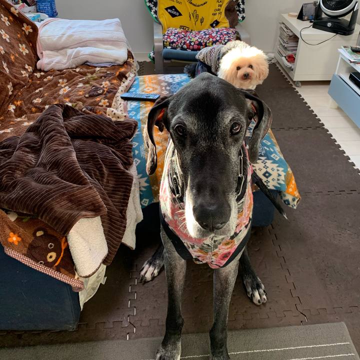 7d4d76c3 9e4a 4b91 8cb5 2e2259811136 1608590407484