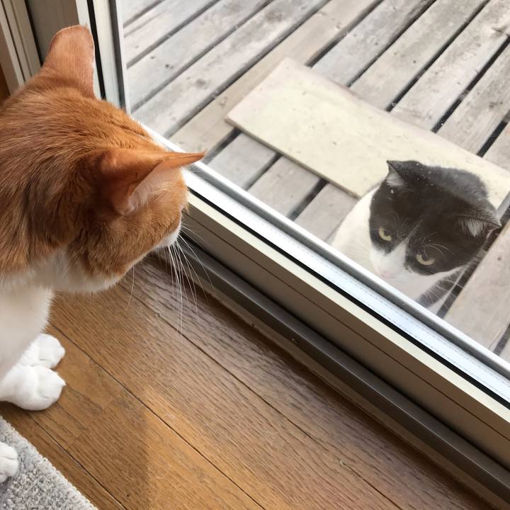 7d4d827c c2fe 469b 8f79 8ccee1c5a8da 1588370486001