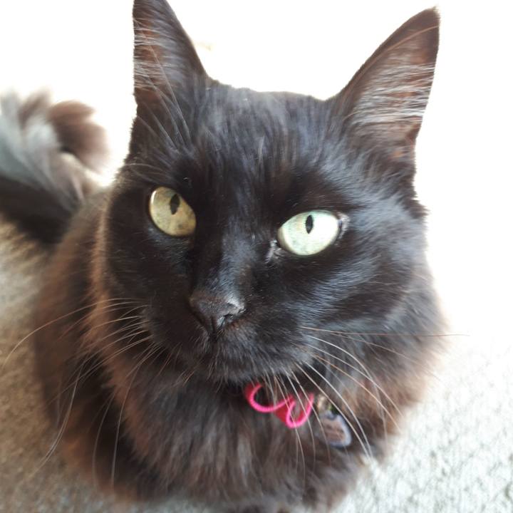 7d4d912e 5979 4837 8c32 22956e92e3cf 1516852124139