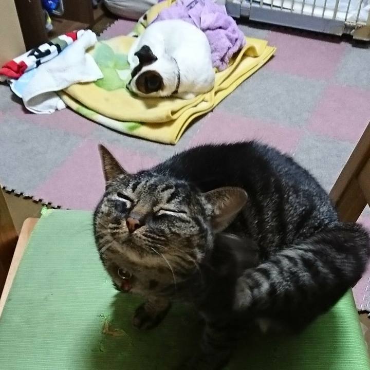 7d4d91f4 d707 47ce b6b4 318f54f22808 1526809001871