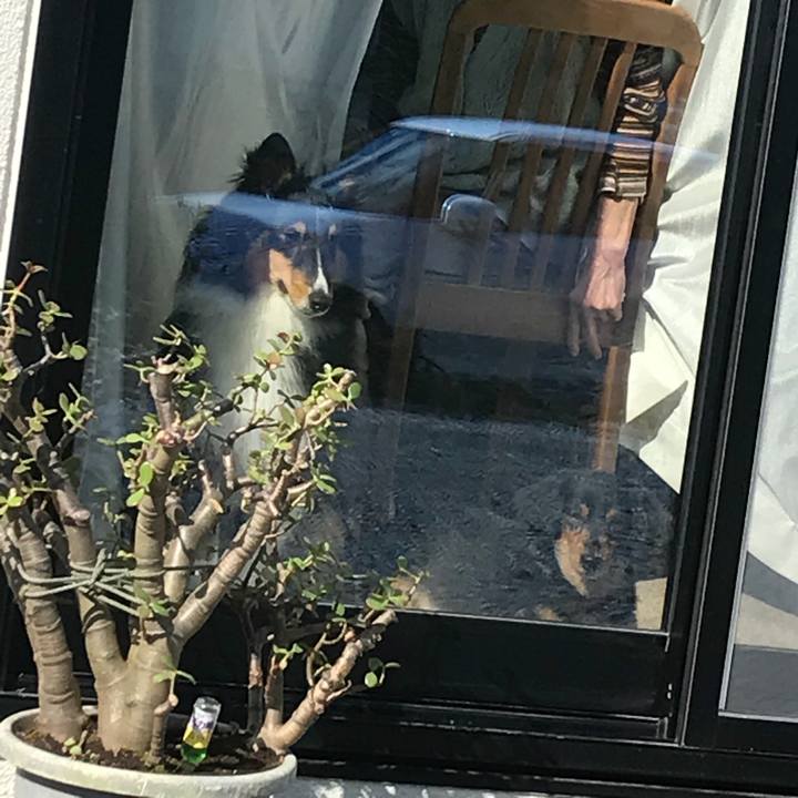 7d4e0599 13cb 43e5 8524 f0f494b4f04a 1529359846787