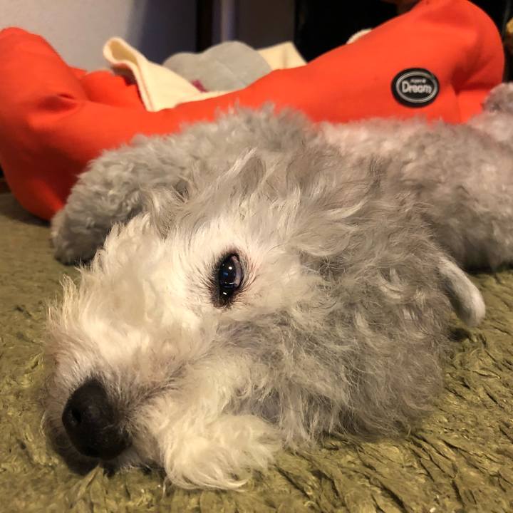 7d4e51e8 3450 4f79 9895 460ca19f9d5c 1532763964145