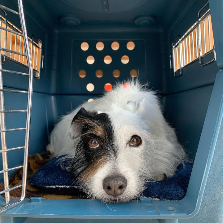 7d4e6478 8947 48da afeb 5aacb530a7ff 1681003900877