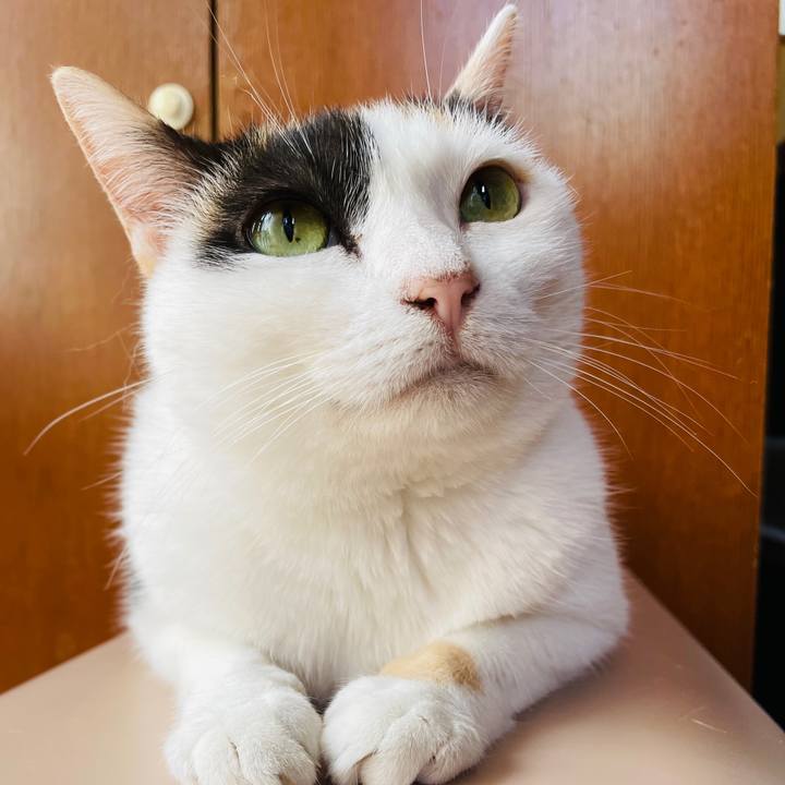 7d4e7c0a 30f4 4781 a677 7263b0d29437 1660009325622