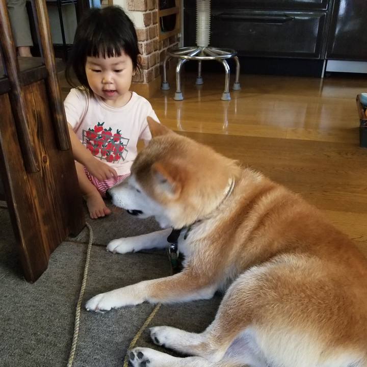 7d4ede5e 3777 4192 a2fe 00e7632e9d54 1660178005700