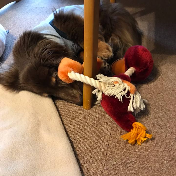 7d4ee508 a41c 49c9 ba01 c9b30160a3ea 1560070255104