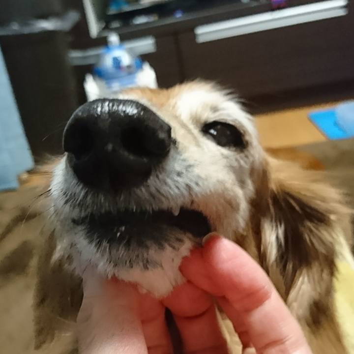 7d4eecb6 0495 4df1 be6d e0bbc6ef8f9f 1514369658257