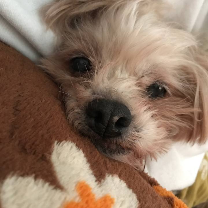 7d4efa1a d72f 4cf1 86ea dee65d607c57 1549291725499