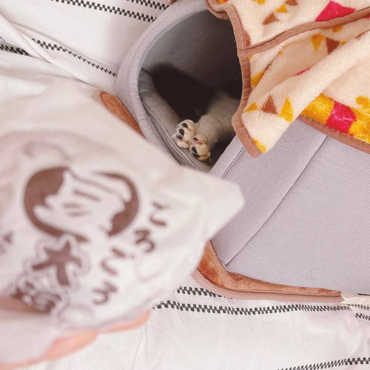 7d4f0bf9 b259 4163 85b8 5d8c15c74468 1672278110421