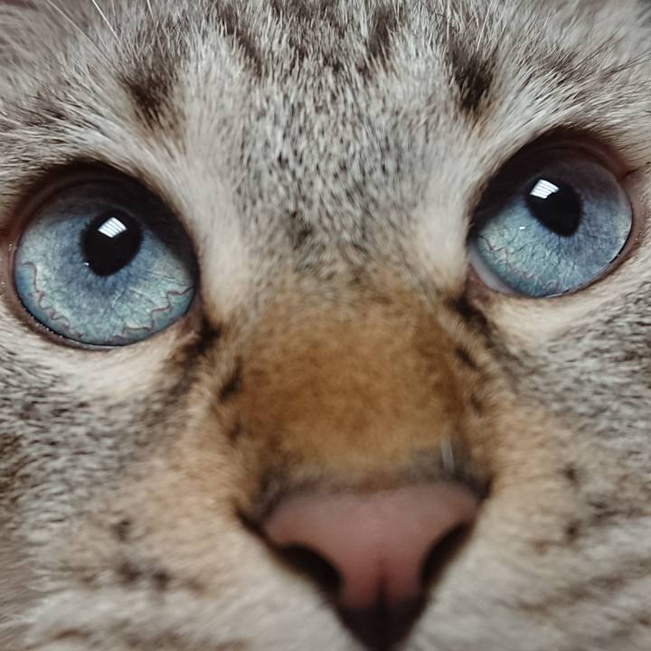 7d4f10d7 9cda 4a44 8853 c64654bfe028 1569320868541